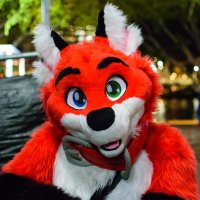 BoxerFox🔜FurDu (@boxer_fox) 's Twitter Profile