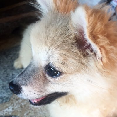 Hellooov's profile picture. นี่มันทวีตข้า จะทวีตอะไรก็ได้