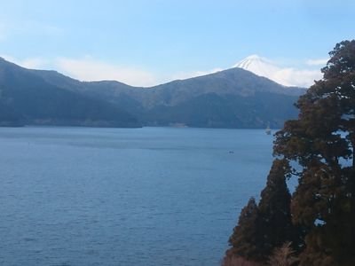 yori_0802's profile picture. 早稲田建築M1