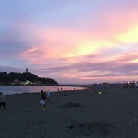 Kyoya Kodama (@kkyoya) 's Twitter Profile