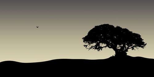 golfballkiller's profile picture. me in a few woords wel I love sport and want to bacome a pro golfer any one want to chat just invite me please