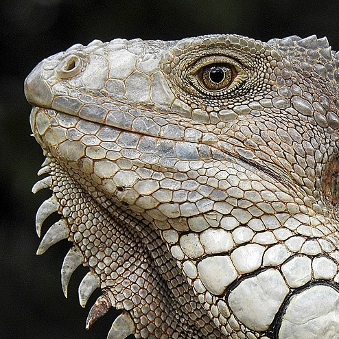 rsindos's profile picture. ΠΑΑΑΑΑΑΑΑΑΑΑΑΑΑΑΑΑΑΑΑΑΑΑΑΑΑΑΑΑΑΑΑΟΚ