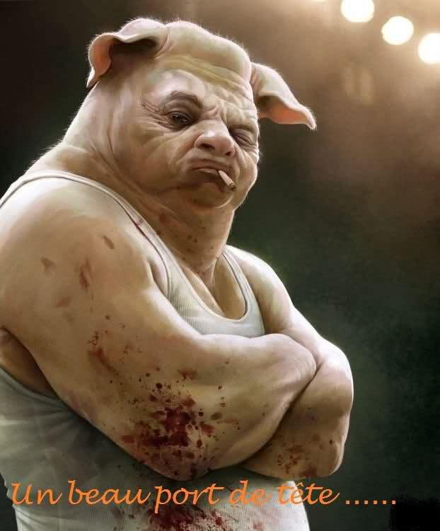 internetday4's profile picture. 