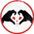TeamBisugo's profile image