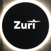 Zuri VTOL (@ZuriVTOL) Twitter profile photo