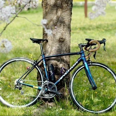 ロードバイクanchor  RL9 
MTBスペシャライズド Fuse
江戸川走ってるヘルニア持ち
還暦の肥満おじさんです。
無言フォローあしからず、フォローはお気軽にしてもらえれば幸いです。
#吉川市 #ロードバイク#anchor
#腰痛 #ヘルニア #江戸川サイクリング