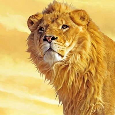 KohirSatya's profile picture. 