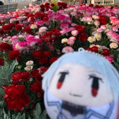 Media Tweets By 春紫苑 Star Halshion Twitter