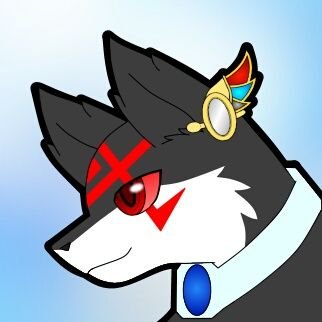 白い毛玉さんのプロフィール画像