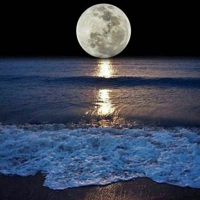 ‏‏‏‏‏‏‏‏°¶ عيش الَحياَة كماَ تُحِب...، وإضحگ من الَقلب...، وكُن متفاَئلاََ لنهاية الَدربَ¶°  🤗🕊️🌹💜