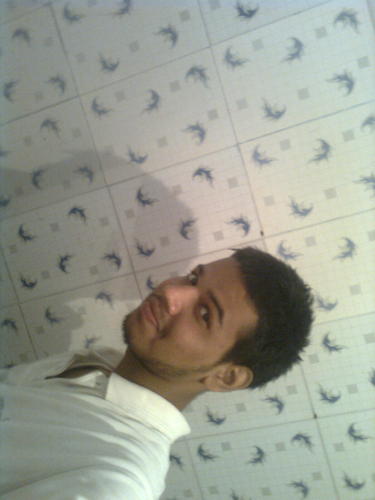 twituu's profile picture. A guy who loves to tweet