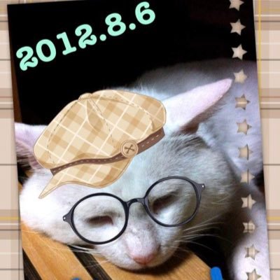 moon_elephant05's profile picture. 🚗教習日記🚗卒業した教習所のハッシュタグをつけて投稿しているポストが多いけど不平不満はありません。 大好きで大切な学び舎でした。４３歳にして普通免許取得& 安全運転能力検定４級 合格🌸病院勤務。猫と同居🐈