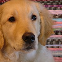 Rainy Erik (@erikzbf1) 's Twitter Profile