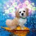 愛犬リックと相互フォロー (@funfunsougo) Twitter profile photo 愛犬リックと相互フォロー (@funfunsougo) Twitter profile photo