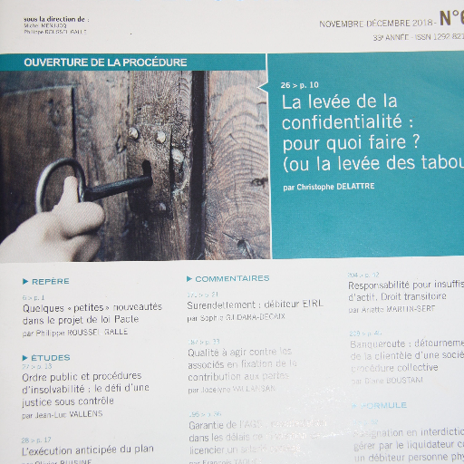 Proc_collective's profile picture. La rédaction des revues #LexisNexis dédiées à l'actualité des #procédurescollectives civiles et commerciales #juristes d'affaires #avocats #AJMJ #entreprises