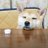 チューバ狂のアイコン