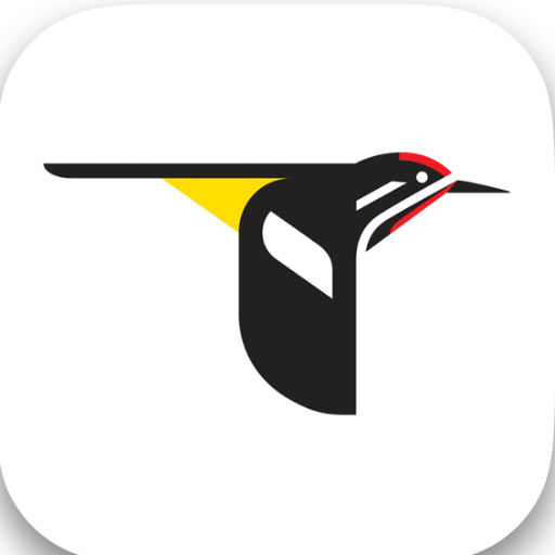 Free and global #BirdID & #FieldGuide app from @CornellBirds. https://t.co/sXCkIB1HRA #birding #birdwatching #aves #whatbird #soundid #ShazamForBirds