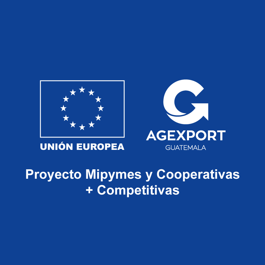 Proyecto Mipymes y Cooperativas + Competitivas