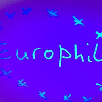 Philip Gough #FBPE(@goughphilip1) 's Twitter Profile Photo