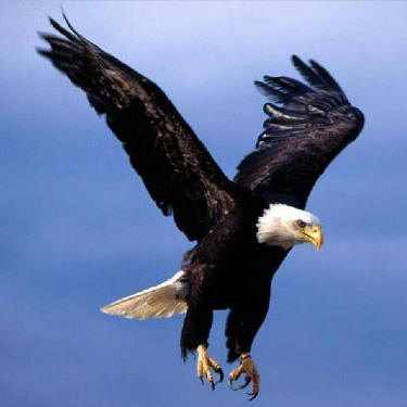 Marri071's profile picture. 🤨 Ho un cervello che ragiona senza farsi indottrinare