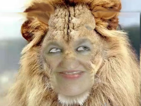 sijavaisraison's profile picture. 32 ans, célibataire,signe astrologique Lion asc Capricorne,je suis une femme normale.Voiloù !