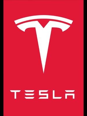 TeslaElon1's profile picture. Do not follow me.                                                                                                                    ;)