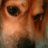 SharonC12624408's avatar