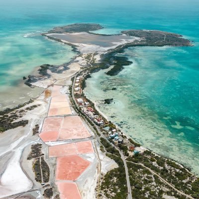 solocuentafa's profile picture. 🥵