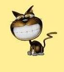 evelynparmks's profile picture. Pet blogger. Followback