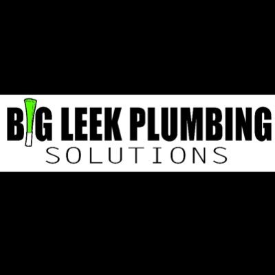 Bigleekplumbing Profile Picture