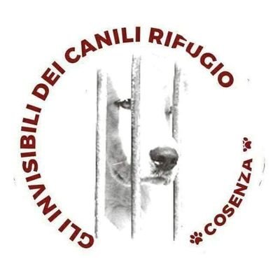 Associazione di volontariato della Calabria, operiamo nei canili sanitari e nei canili rifugio dando visibilità e speranza di salvezza ai tanti cani reclusi🐾💪