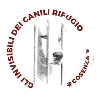 Gli Invisibili dei Canili Rifugio Cosenza ODV (@gliinvisibili) 's Twitter Profile Photo Gli Invisibili dei Canili Rifugio Cosenza ODV (@gliinvisibili) 's Twitter Profile Photo