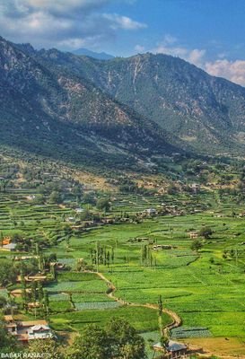 Muhamma09046356's profile picture. 