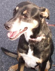 PBlakeney's profile picture. I'm interested in a lot of stuff.