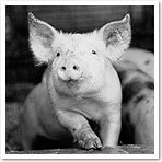 fer927's profile picture. 