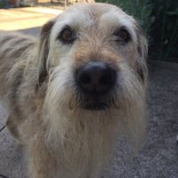 Melanie (@merunnergirl7) 's Twitter Profile Photo Melanie (@merunnergirl7) 's Twitter Profile Photo