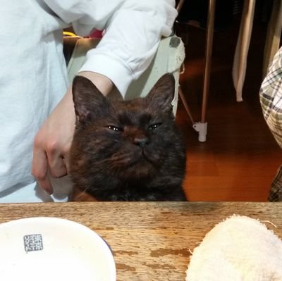 蜜柑の神さんのプロフィール画像