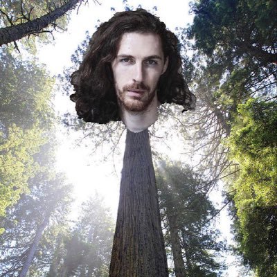 Take me to BIRCH! Trees that could actually be Andrew Hozier-Byrne and vis-versa. Save a cowboy, climb a tree.
