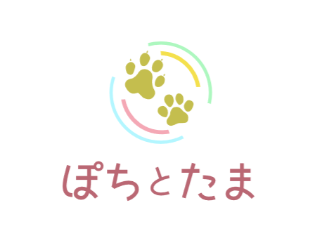 犬や猫の里親マッチングサービス『ぽちとたま』公式🐶🐱サイト内でボランティアさんの募集/譲渡会の告知が無料で掲載可能☘️大阪市天王寺区に保護猫カフェ【ねことカフェ】も運営☕️※Amazonアソシエイトに参加中