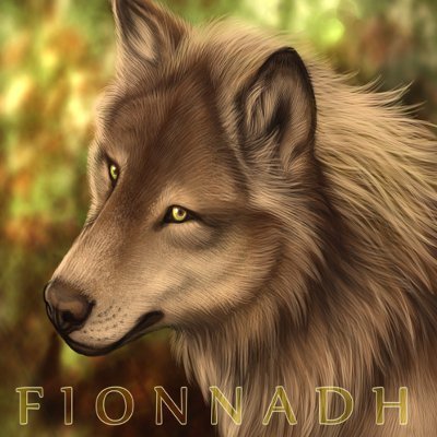 🌻 Fionnadh 🌻