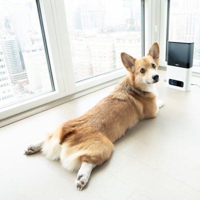 Sploot_Sploot's profile picture. Sploot appreciation