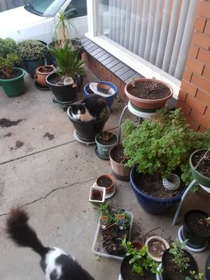 Marilla37803695's profile picture. 