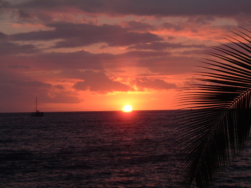 EndingRape's profile picture. #Author of Keep Your Daughter Safe, Richard Hart is committed to Ending #Rape and #SexualAssault. Will you join him? #Women #Speaker #SelfDefense #GirlPower