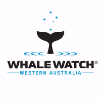 Whale Watch WA (@whalewatchwa) 's Twitter Profile