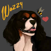 Wazzy(@WazzyRS) 's Twitter Profile Photo