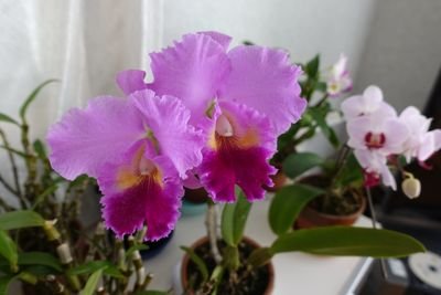 eRIgIUCs3QmfoD3's profile picture. 版画を彫っています、写真も趣味で写してます。