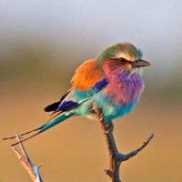 sunshine1427 (@marshmellow5911) 's Twitter Profile