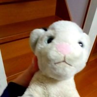 ゆかりんご (@yukaringo628) 's Twitter Profile