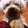 gmaciaswriter's profile picture. Screenwriter. Film 🎥 lover. Dog 🐕 lover. Earth 🌎 lover