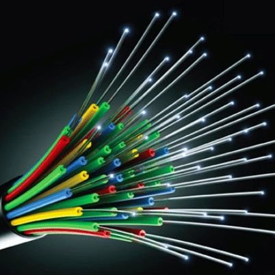 rikou34's profile picture. Faut bien rires